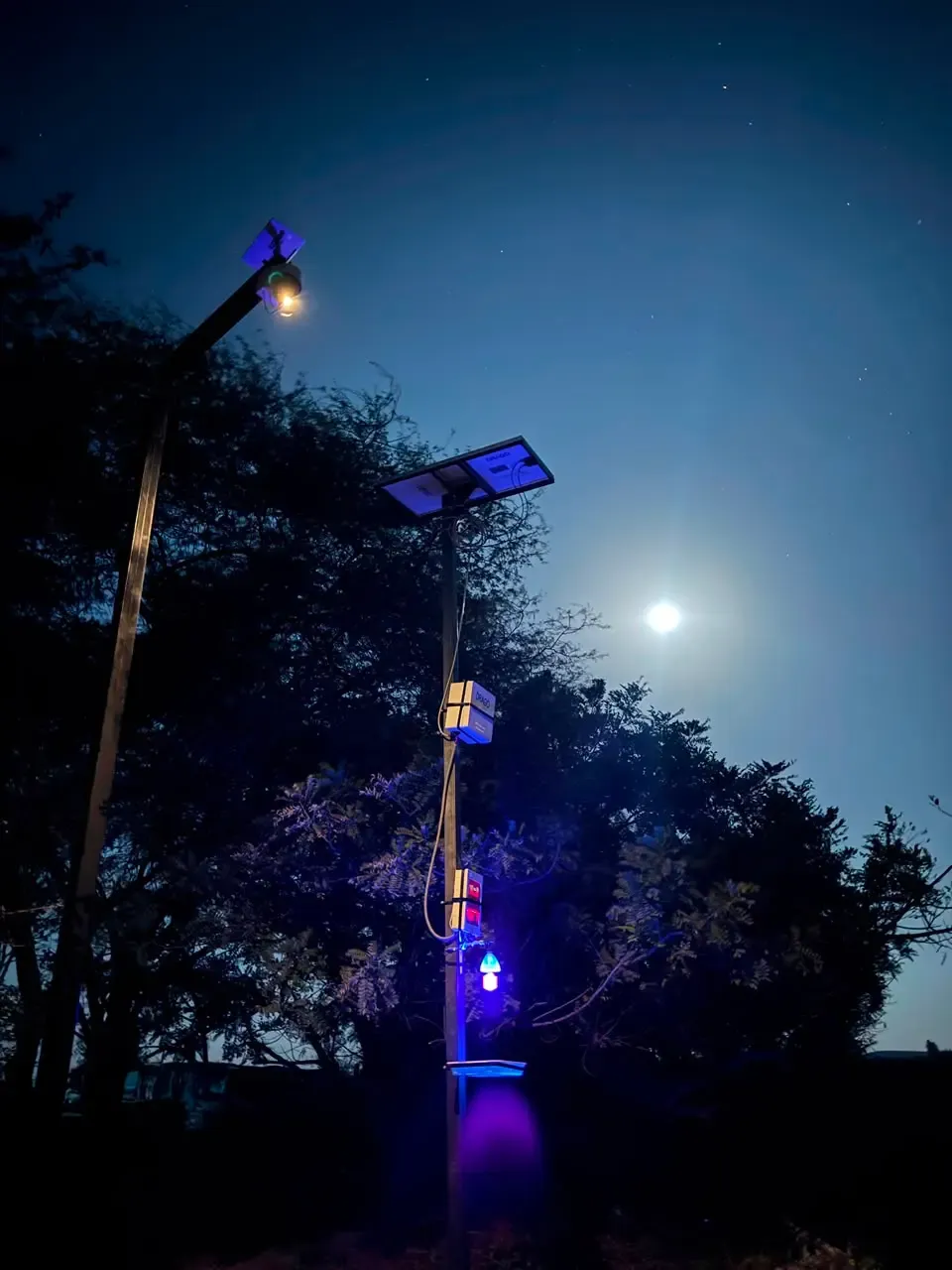 INDUXA AGRO — Red IoT de monitoreo de plagas y disuasión de aves para arroz