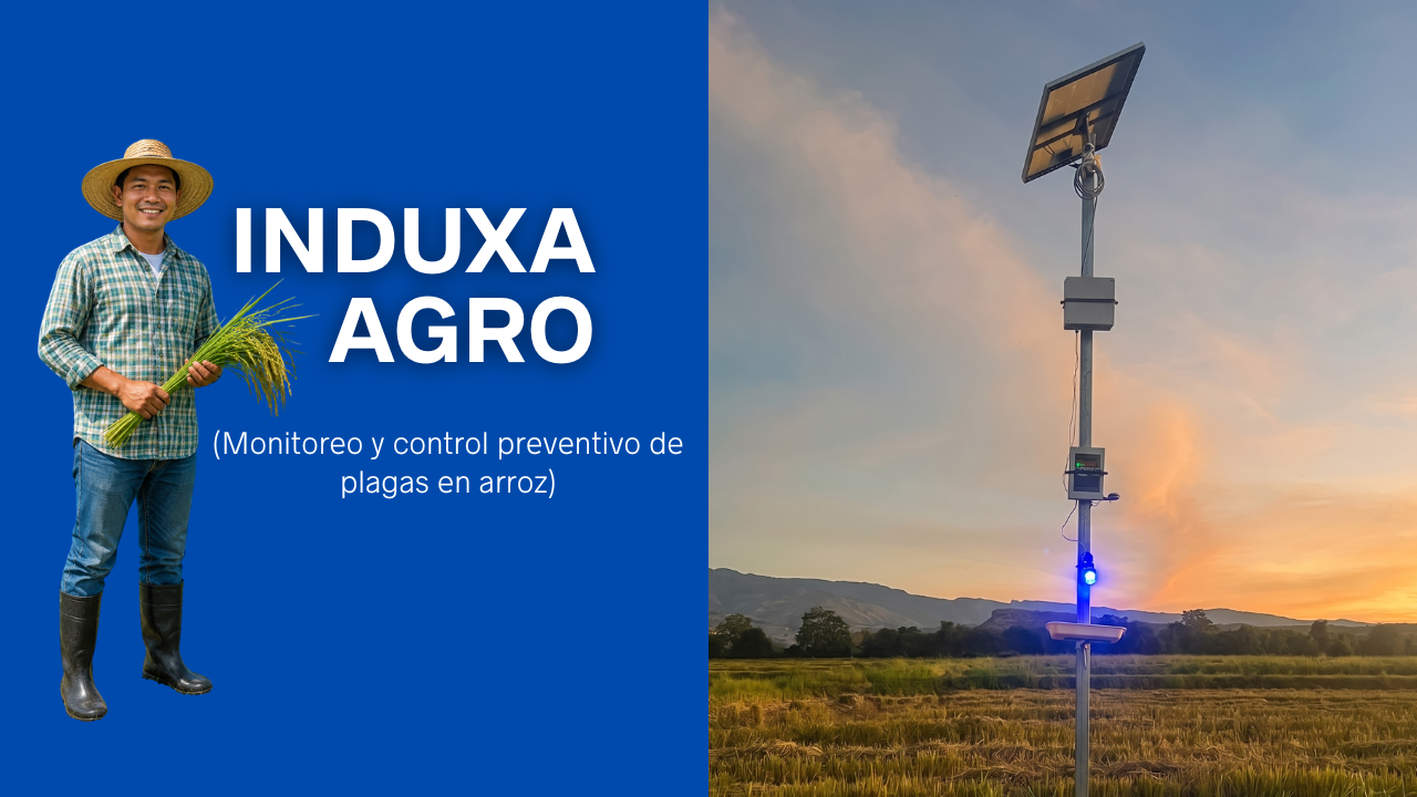 Monitoreo y control preventivo de plagas en arroz